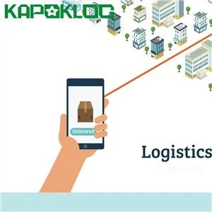 LCL FCL Shipping Agent Kina Til USA DDP